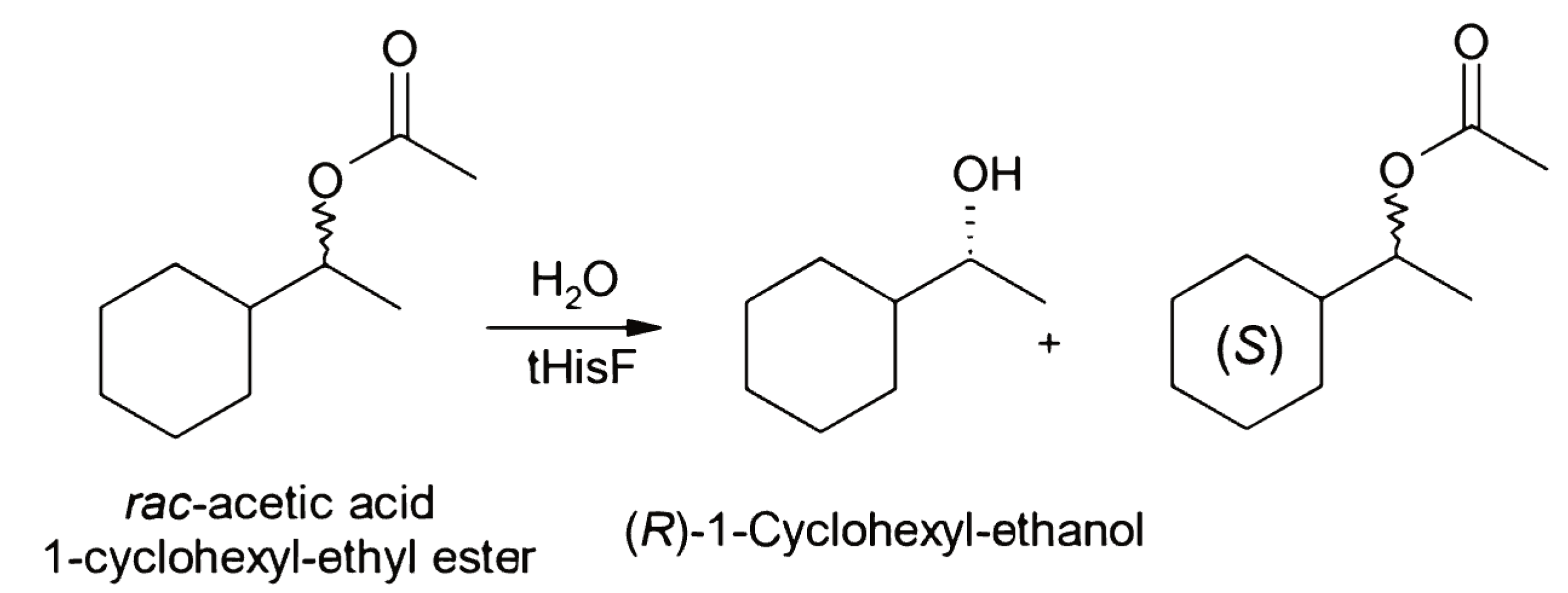 Biocatalysis